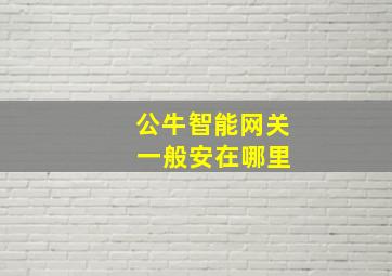 公牛智能网关 一般安在哪里